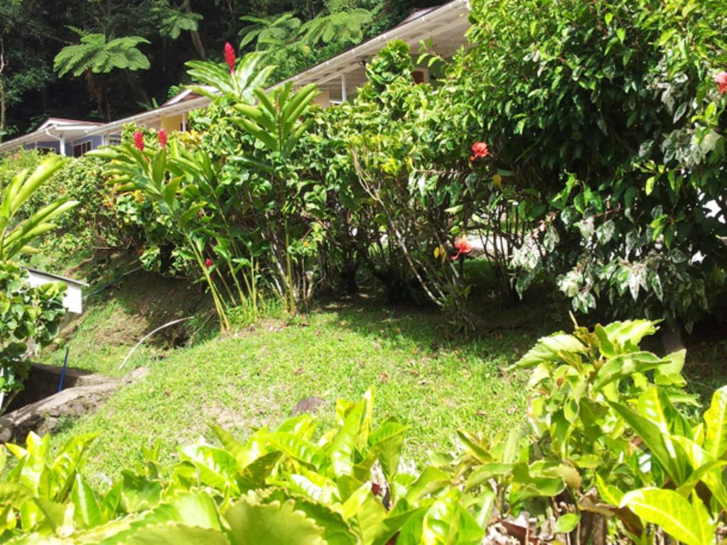 切斯奥菲莉亚小屋公寓 罗索 客房 照片